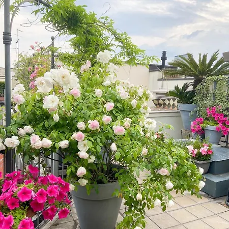 Cozy With Balcony Metro Minutes Away *